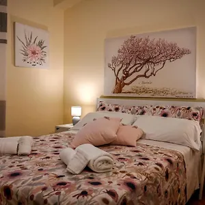 Bed & Breakfast Balconcino Sugli Ulivi